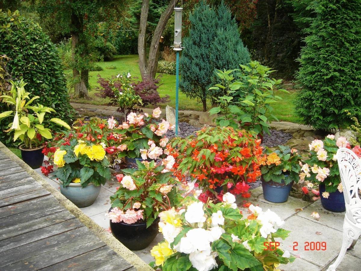 The Willows Bed & Breakfast York Exteriér fotografie