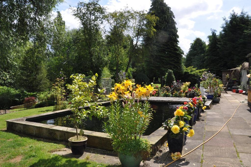 The Willows Bed & Breakfast York Exteriér fotografie